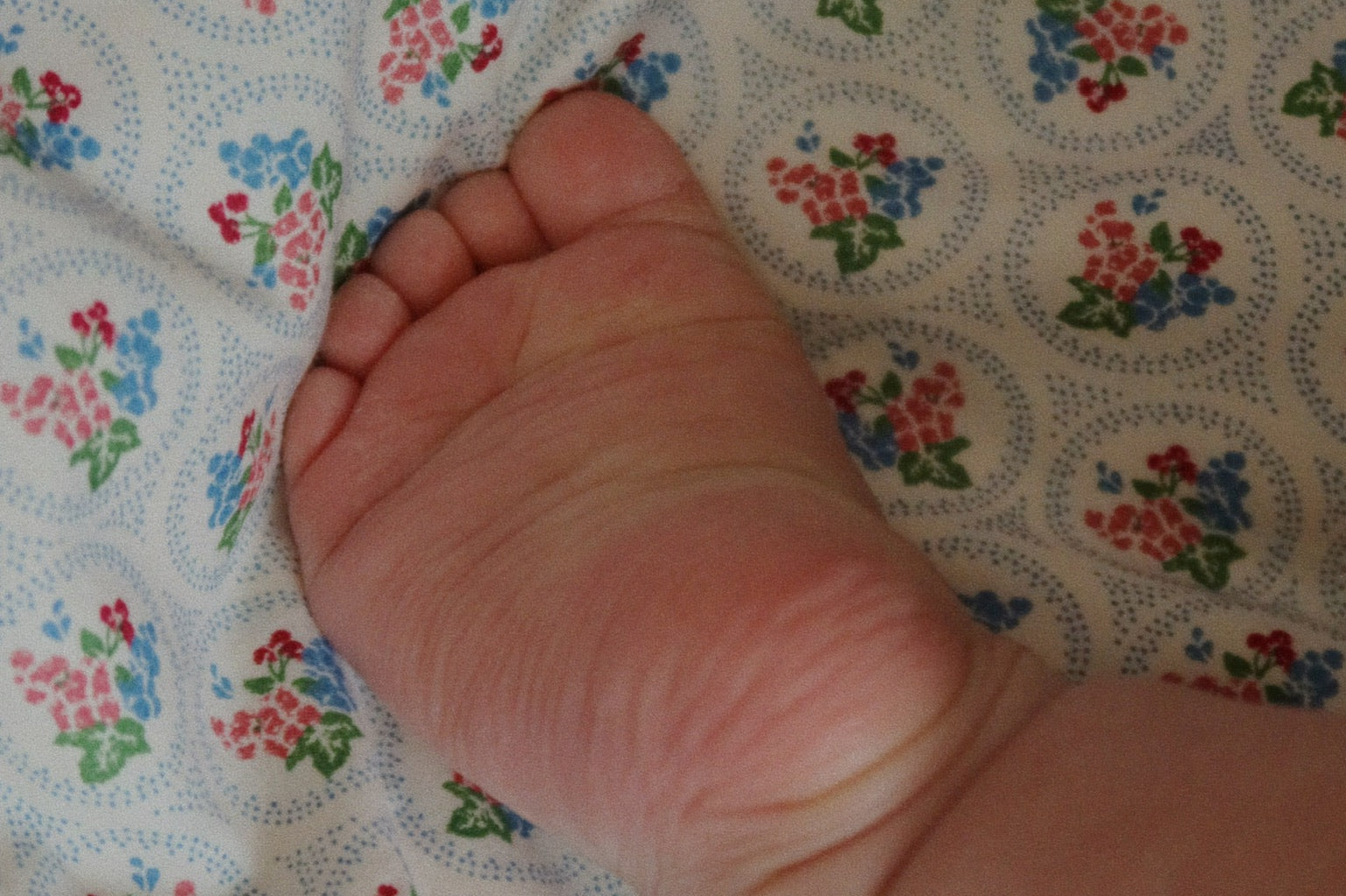 Konges Sløjd A/S Literie adulte verona blues