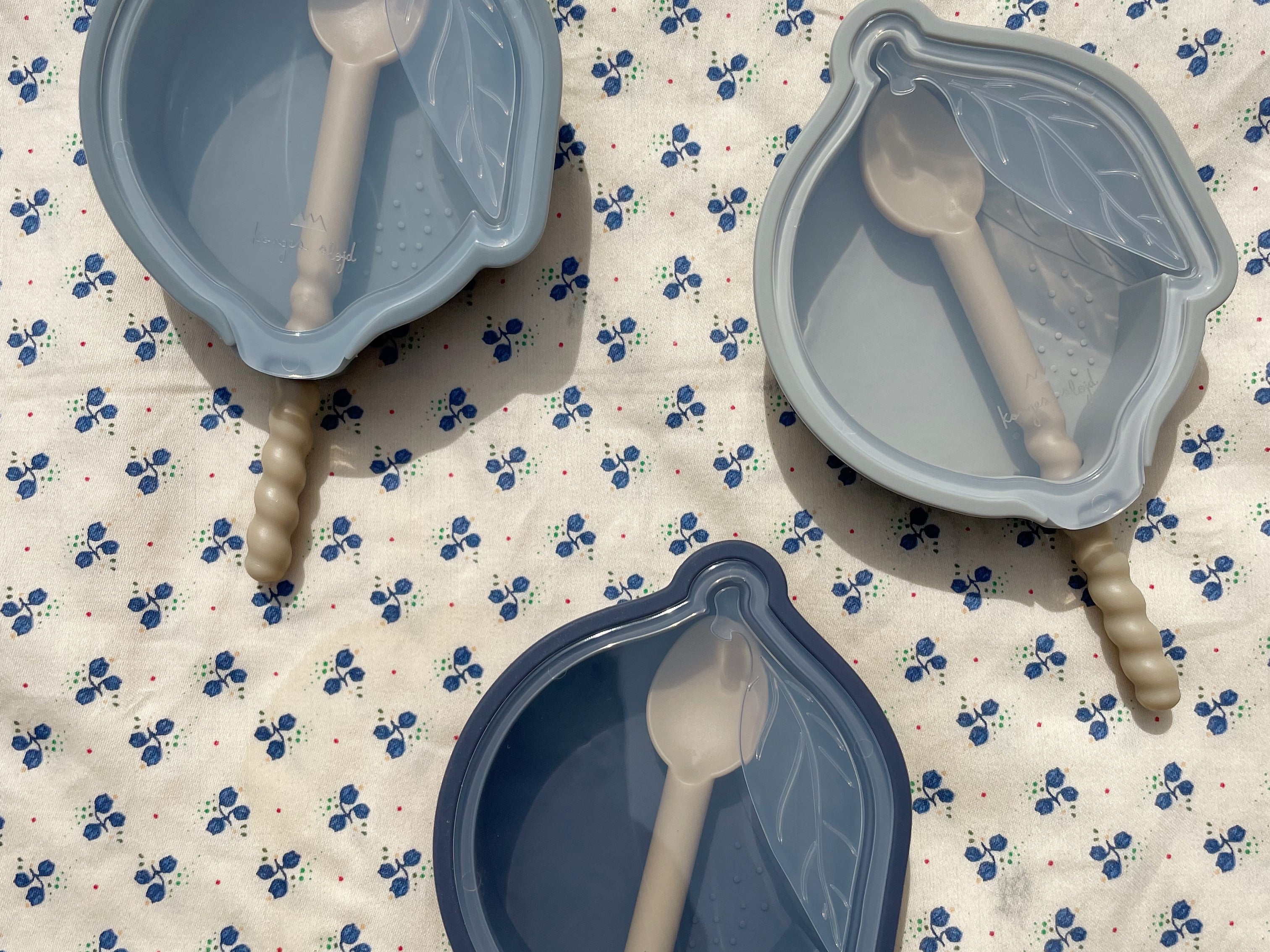 Konges Sløjd A/S Stockage des aliments blue mix