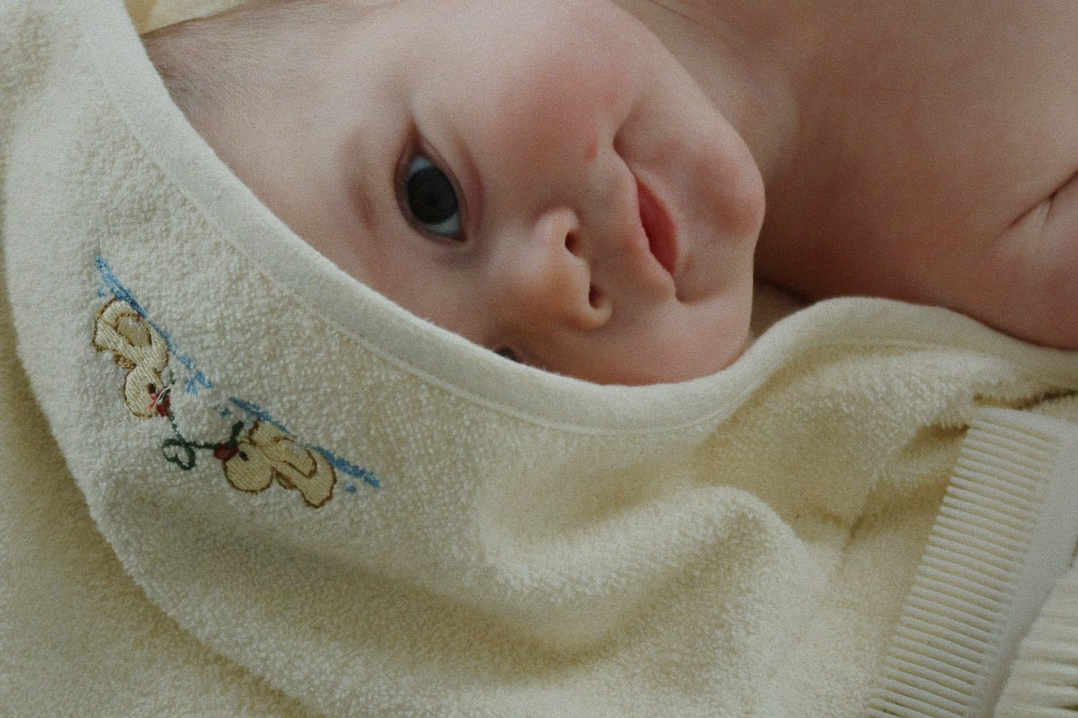 Konges Sløjd A/S serviettes antique white