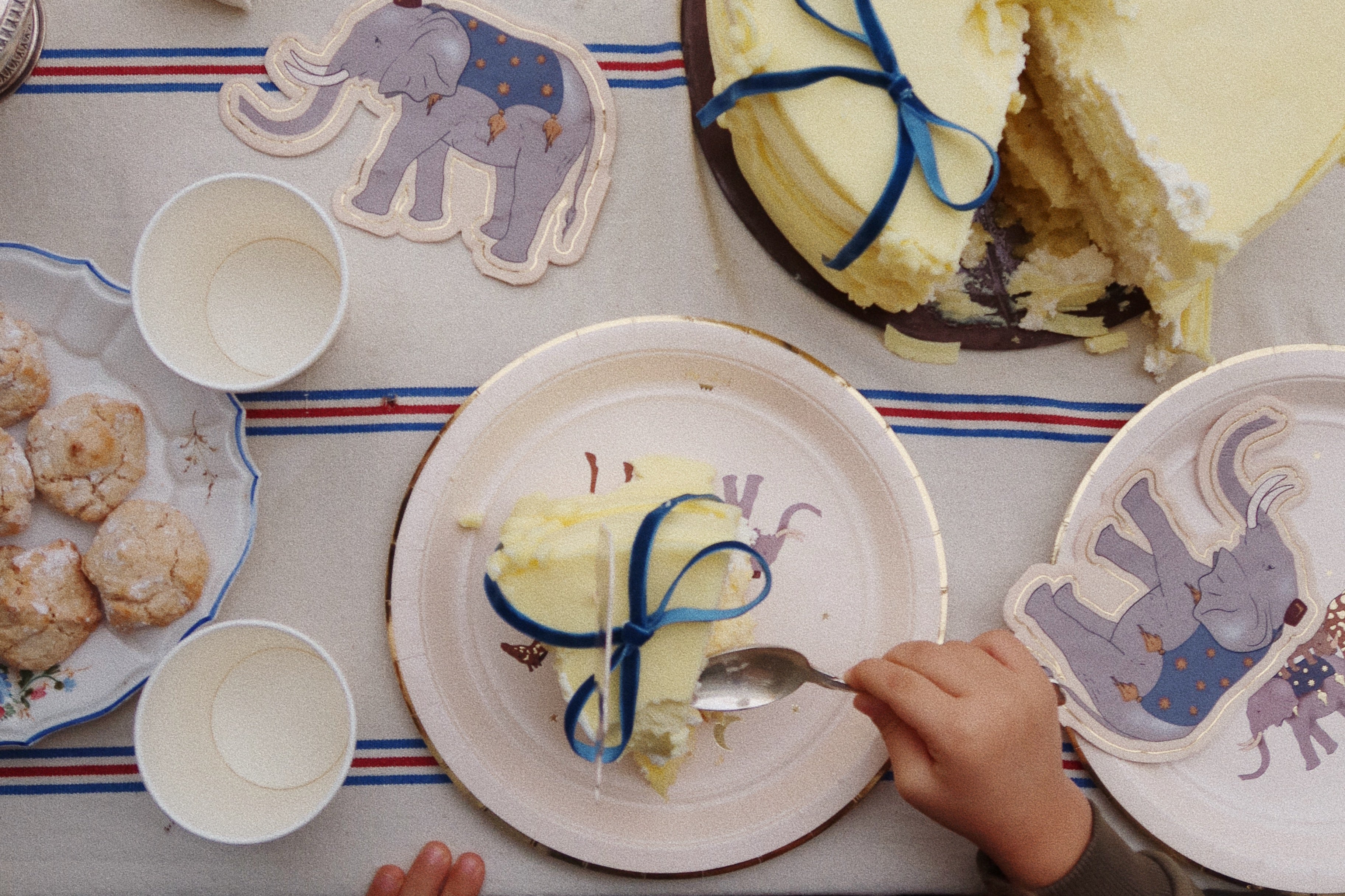 Konges Sløjd A/S anniversaire safari
