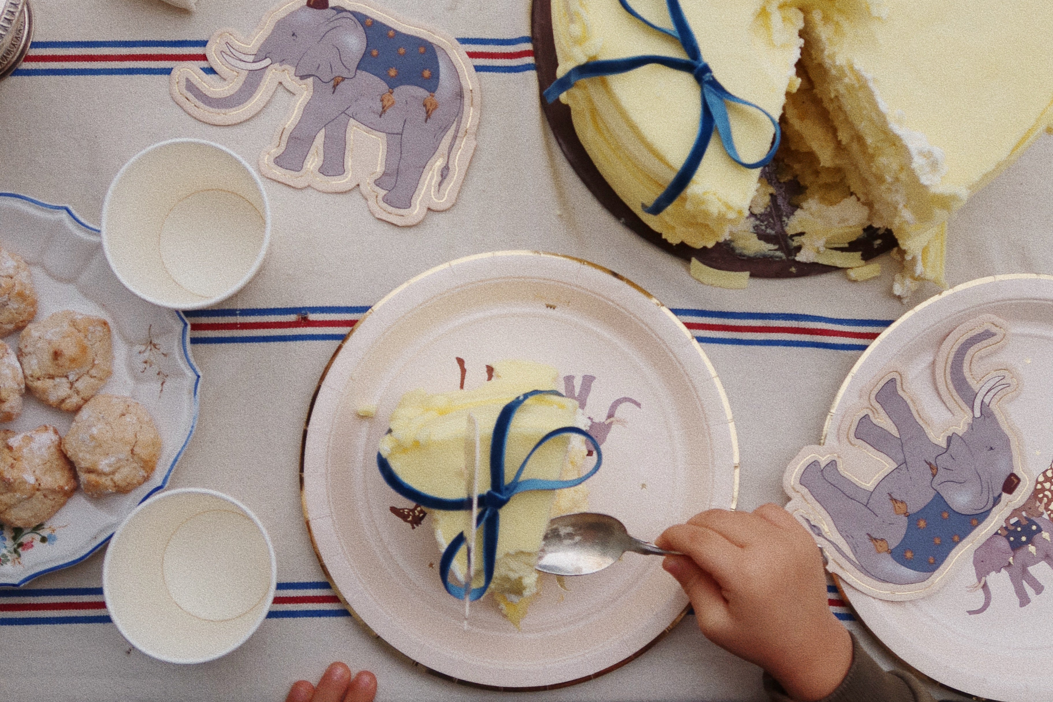 Konges Sløjd A/S anniversaire safari
