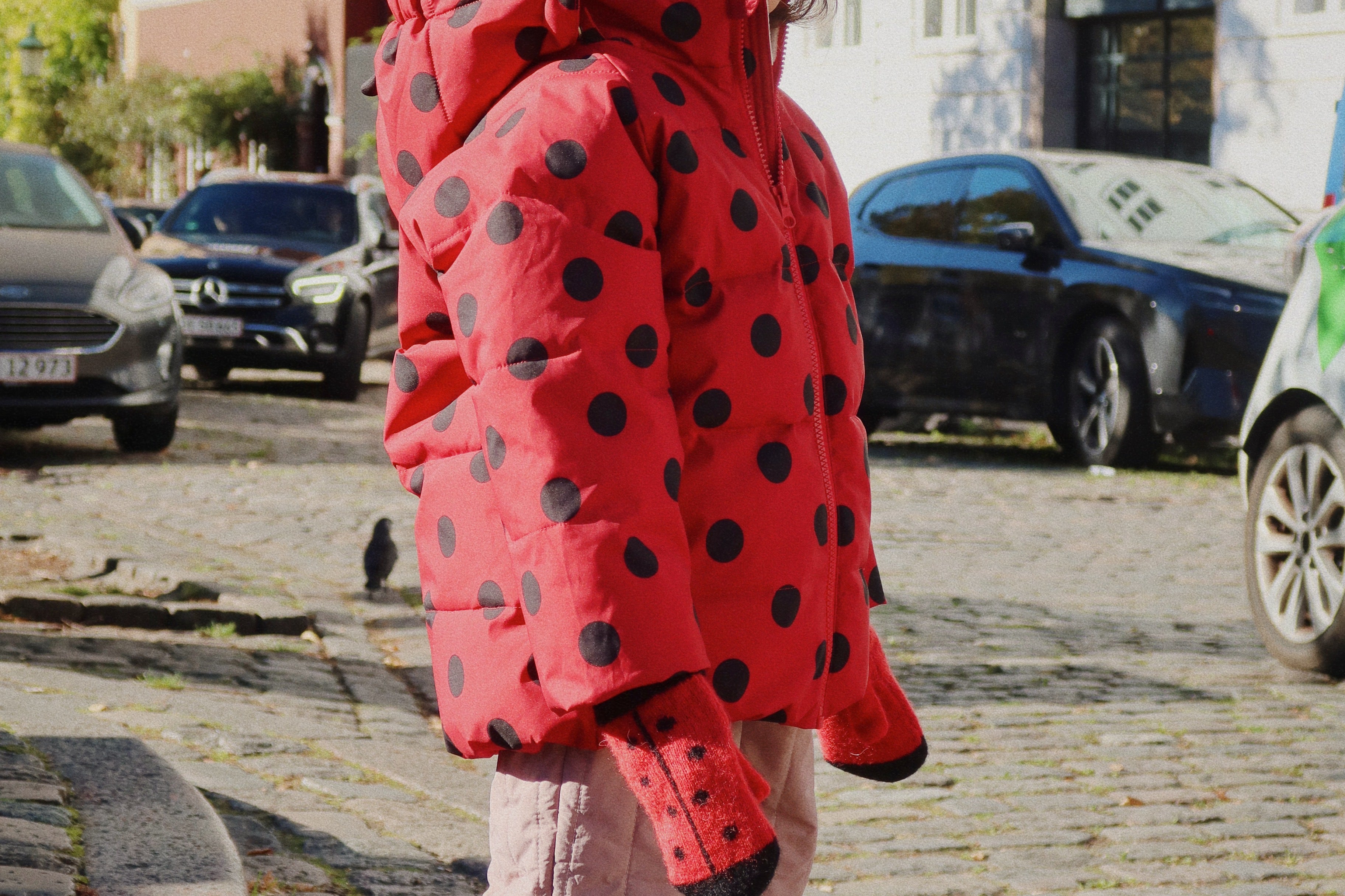 Konges Sløjd A/S WINTER JACKETS lady dot