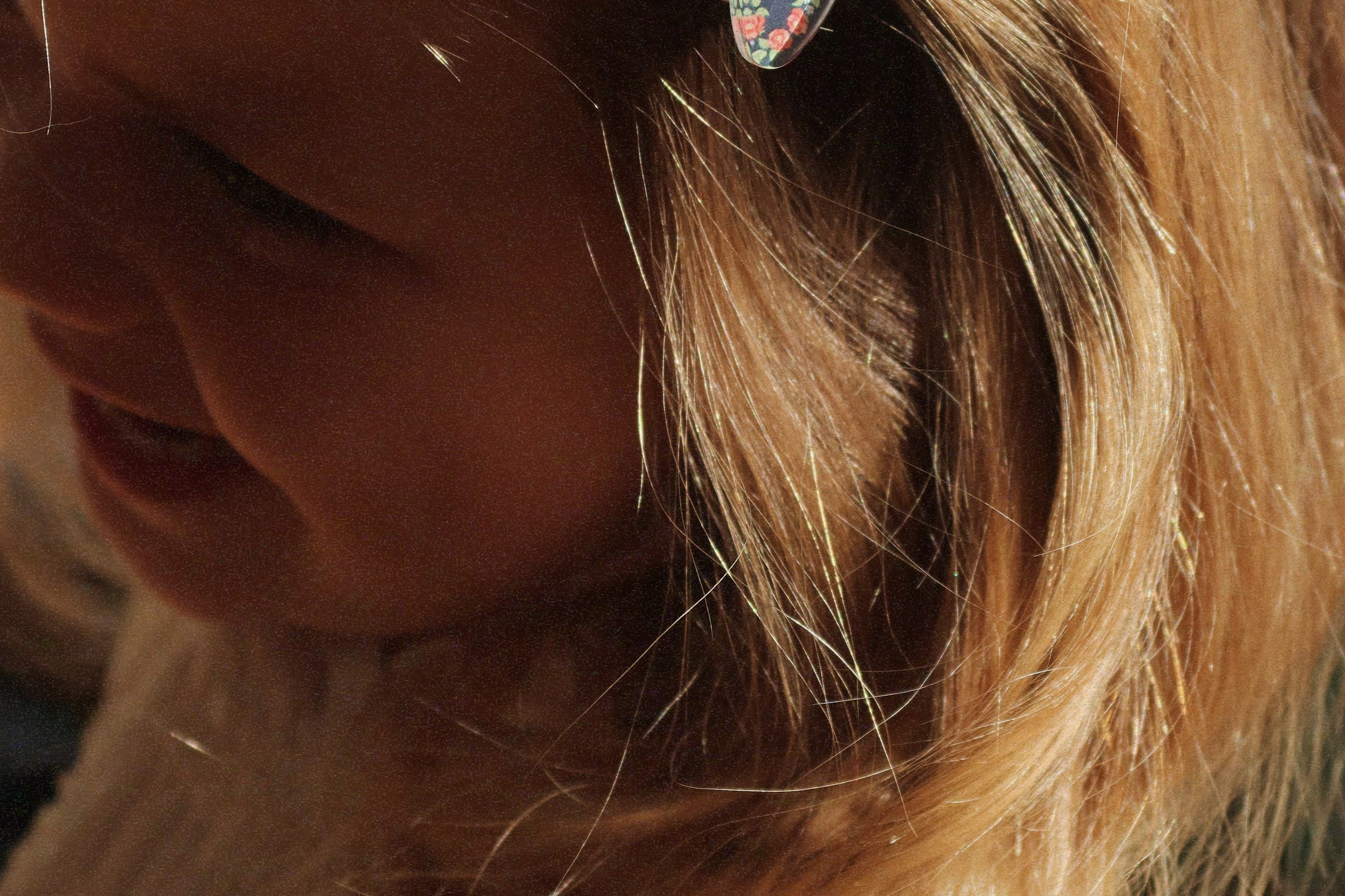 Konges Sløjd A/S Accessoires pour cheveux puppy