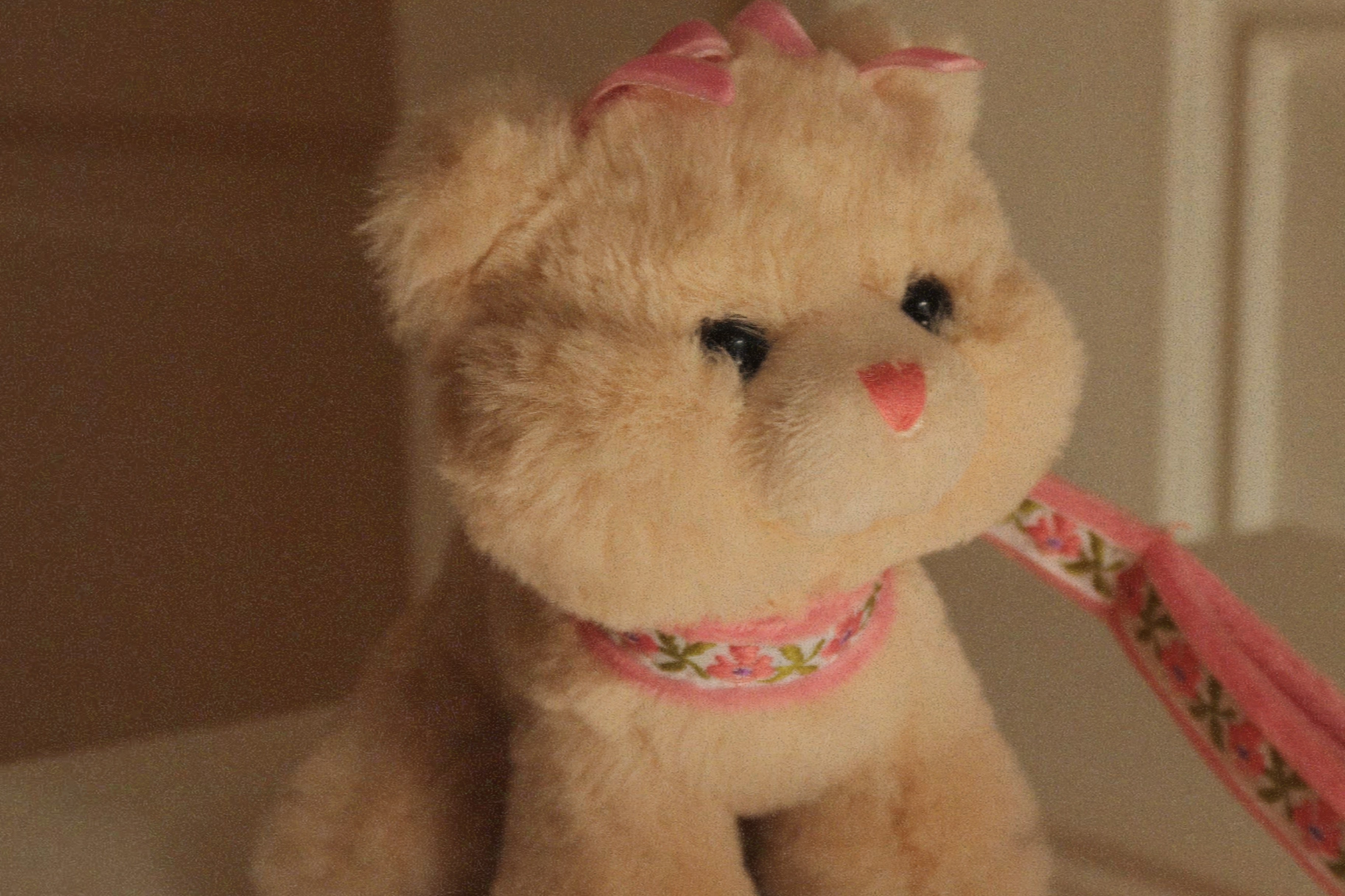 Konges Sløjd A/S Peluches cat