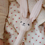 Konges Sløjd A/S Jouets d'activité stripie petite rose