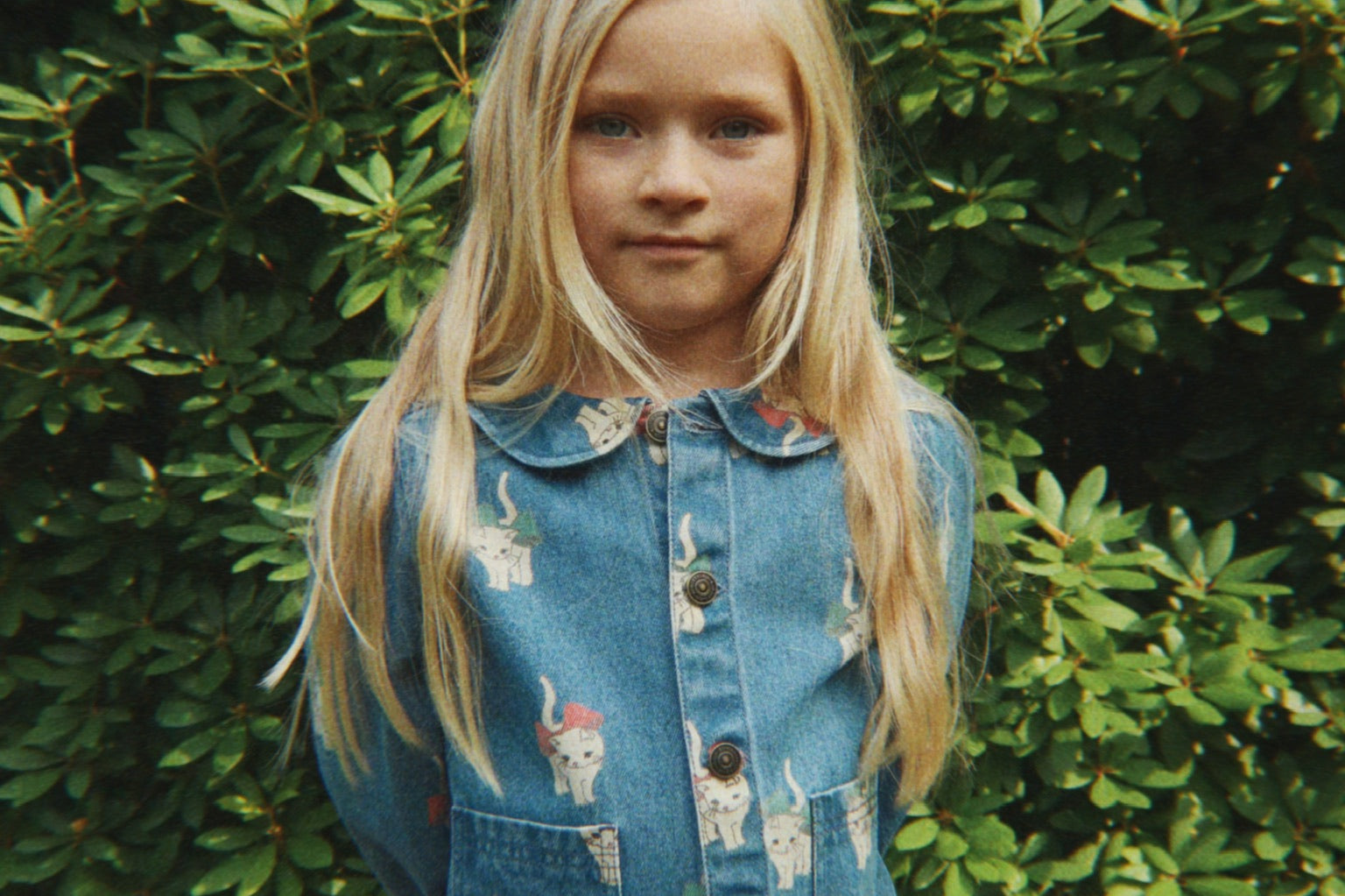 Konges Sløjd A/S Blousons - Tissé bow kitty denim