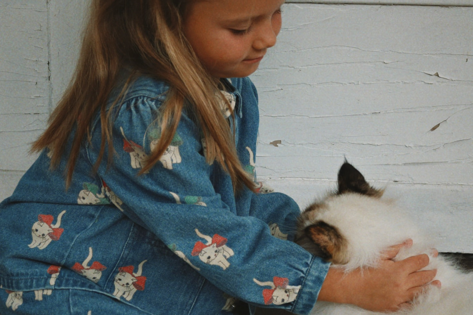 Konges Sløjd A/S Blousons - Tissé bow kitty denim