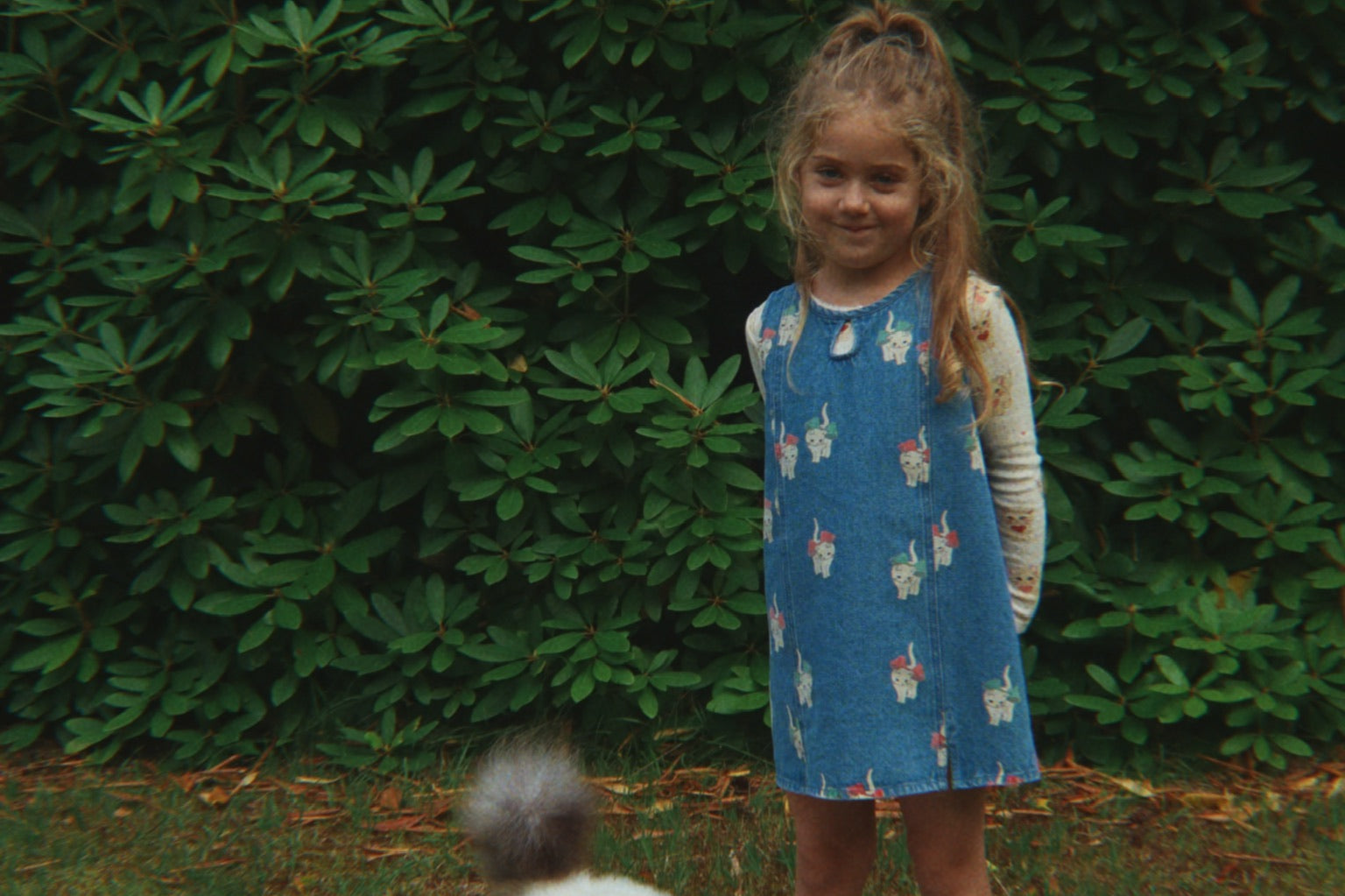 Konges Sløjd A/S Chemisiers - jersey miao amore