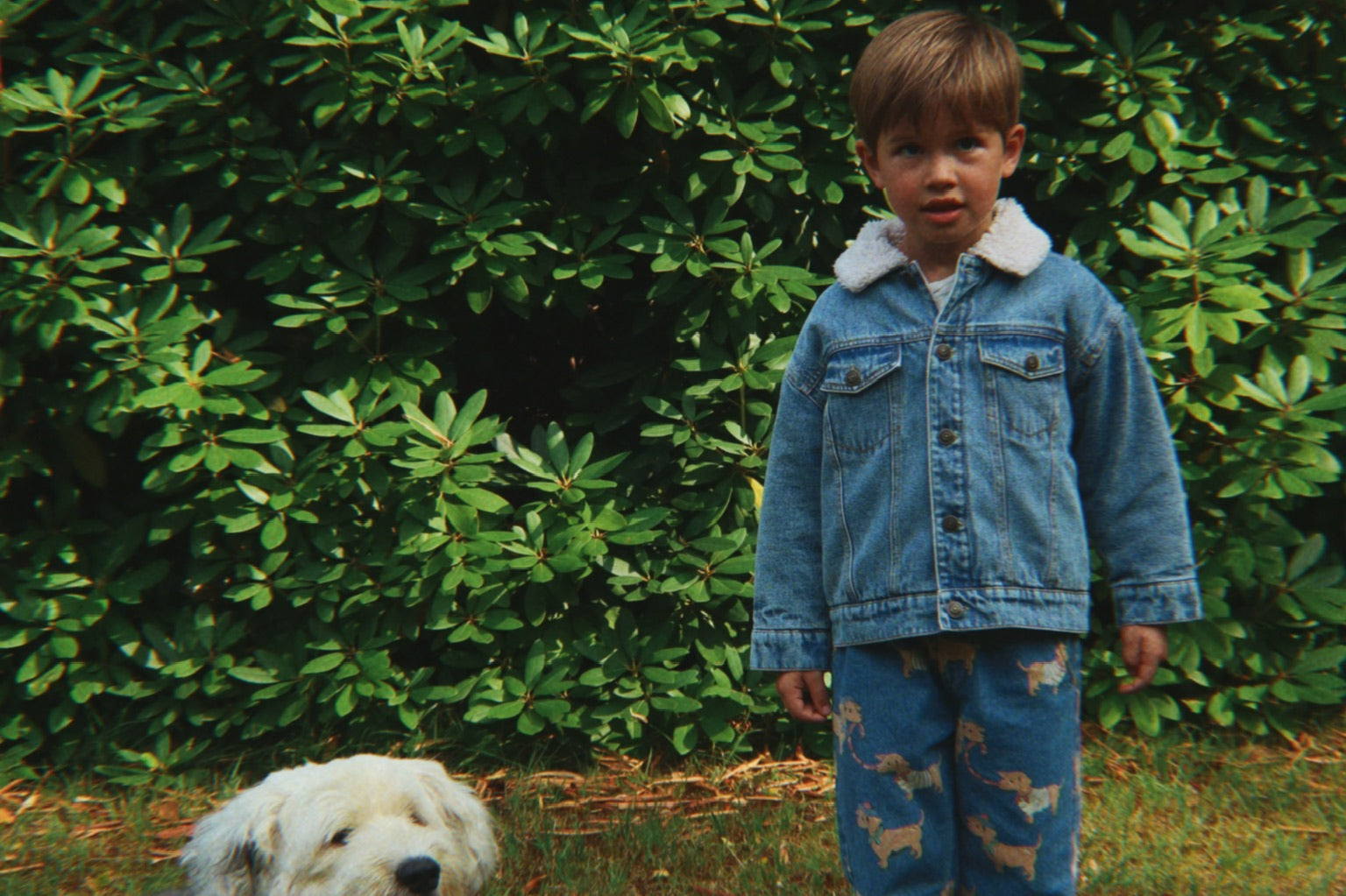 Konges Sløjd A/S Blousons - Tissé denim blue