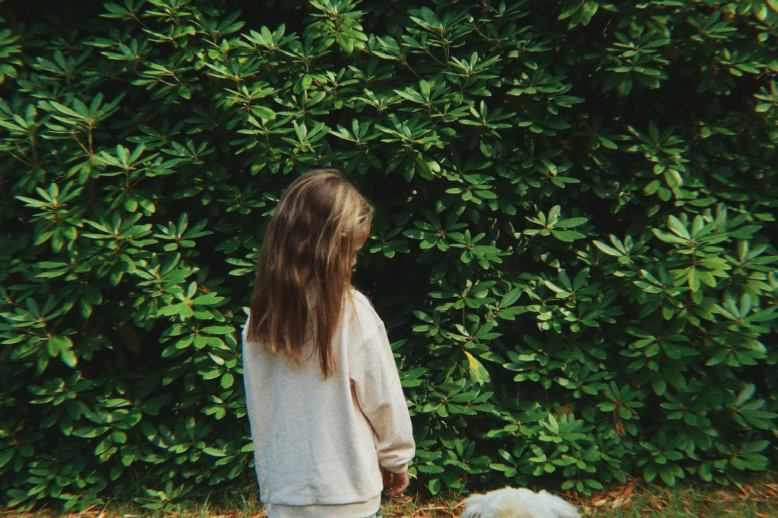 Konges Sløjd A/S Chemisiers - jersey family photo