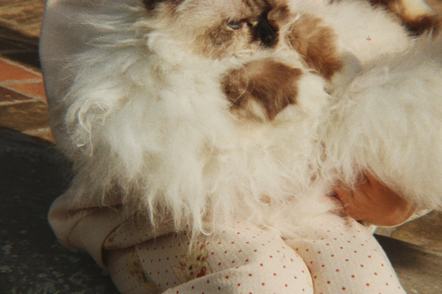 Konges Sløjd A/S Pantalon - Jersey miao amore