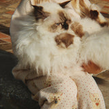 Konges Sløjd A/S Pantalon - Jersey miao amore