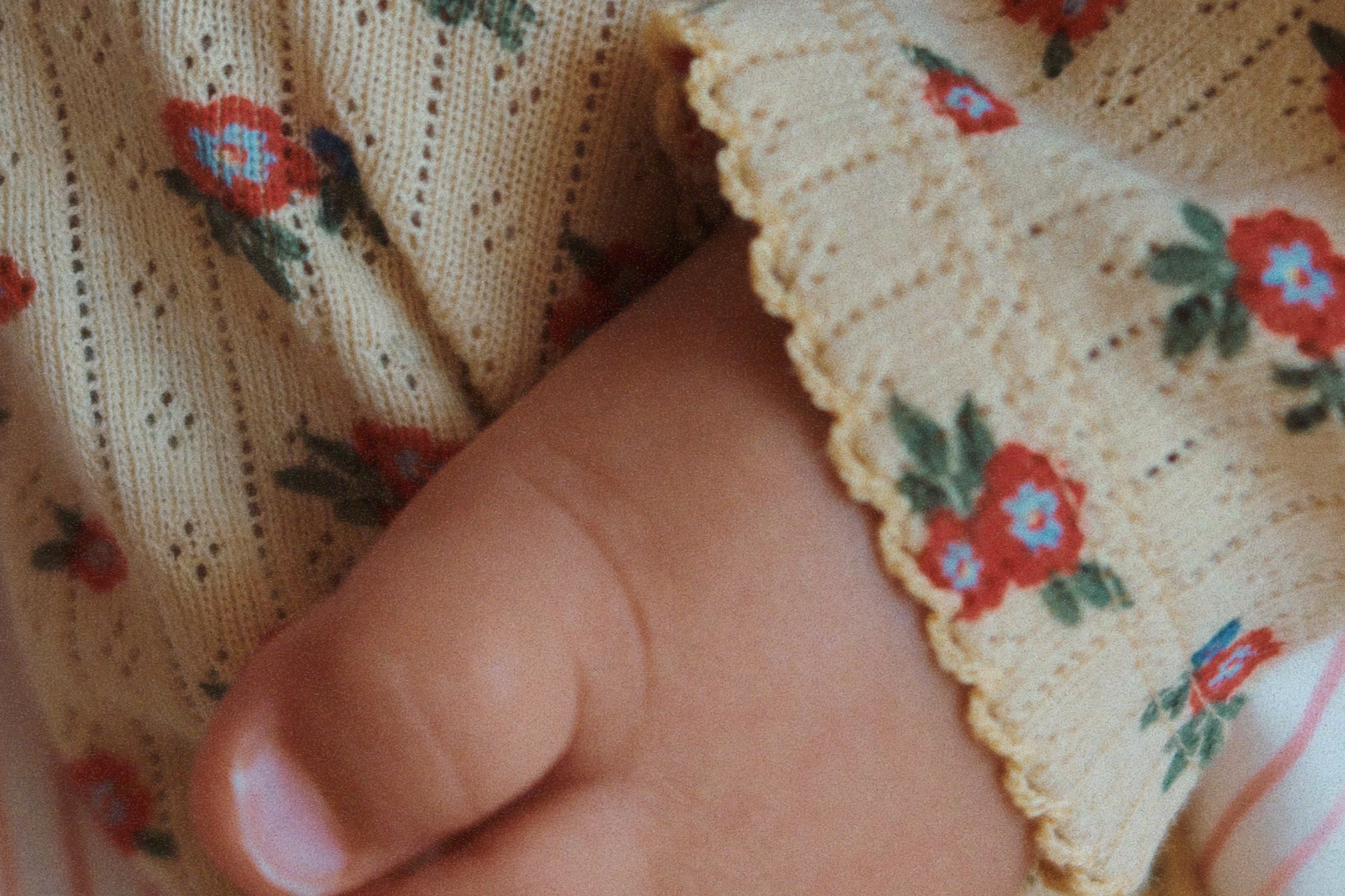 Konges Sløjd A/S JERSEY PANTS carmona