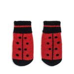 Konges Sløjd A/S Mitains barbados cherry