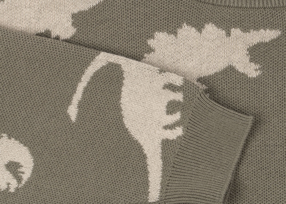 Konges Sløjd A/S Chemisiers - Tricot dino