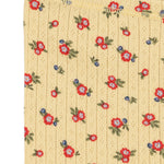 Konges Sløjd A/S JERSEY SHORTS & BLOOMERS carmona