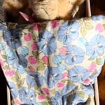 Konges Sløjd A/S Peluches green check