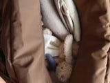 Konges Sløjd A/S sacs à langer walnut